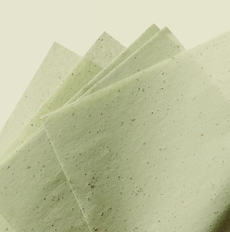 Blotberry™ Shine Control Compact